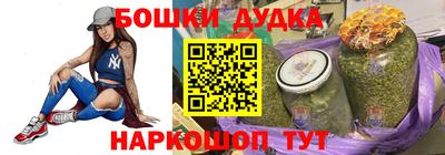 гидра Новодвинск