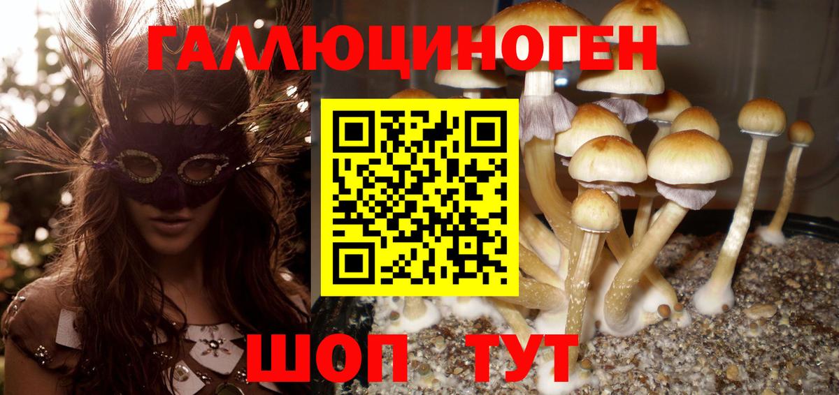 Галлюциногенные грибы MAGIC MUSHROOMS  Вход с VPN  Сегежа 