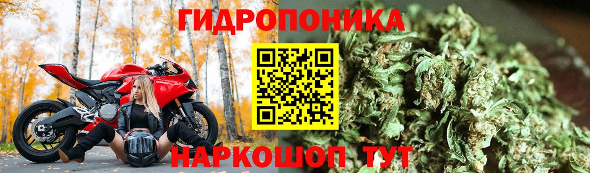 Сегежа  МАРИХУАНА марихуана  Вход с VPN  Бошки марихуана THC 21% 